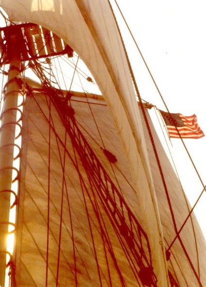 Trust your boat to a company that has the same respect for your vessel and the sea that you have.